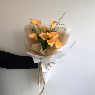 这些石油基金集体公告！今日停牌一小时