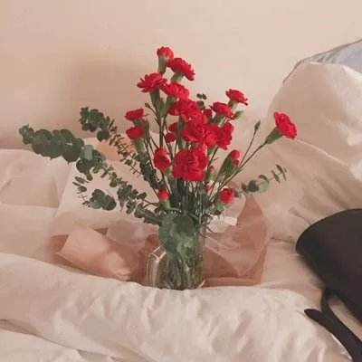 55世纪55sj.com安卓版