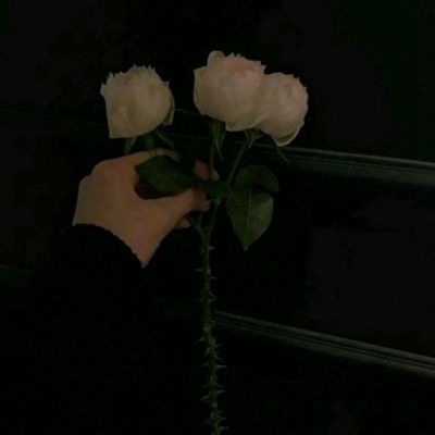 伊朗发动第78波攻势：主力部队尚未投入战场，特朗普的心理战已被戳穿，伊朗已准备了“惊喜行动”